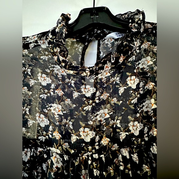 Zara Chiffon Dress - Picture 2 of 6